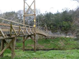 Suspension Bridge